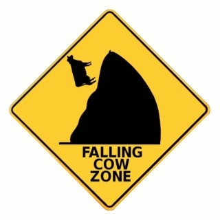 falling cow.jpg