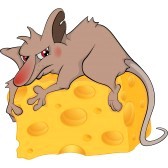 rat-morceau-de-fromage.jpg