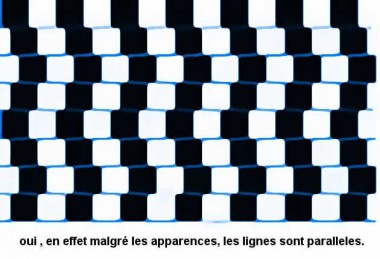 illusion_optique_fausses_paralleles.jpg